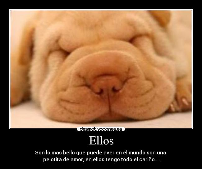 carteles caravaca desmotivaciones