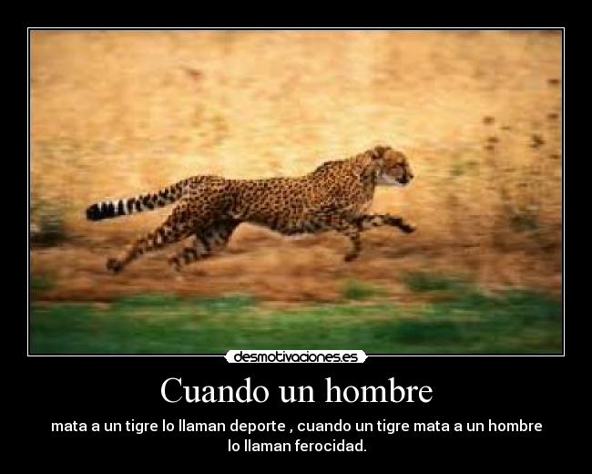 Cuando un hombre - mata a un tigre lo llaman deporte , cuando un tigre mata a un hombre
lo llaman ferocidad.