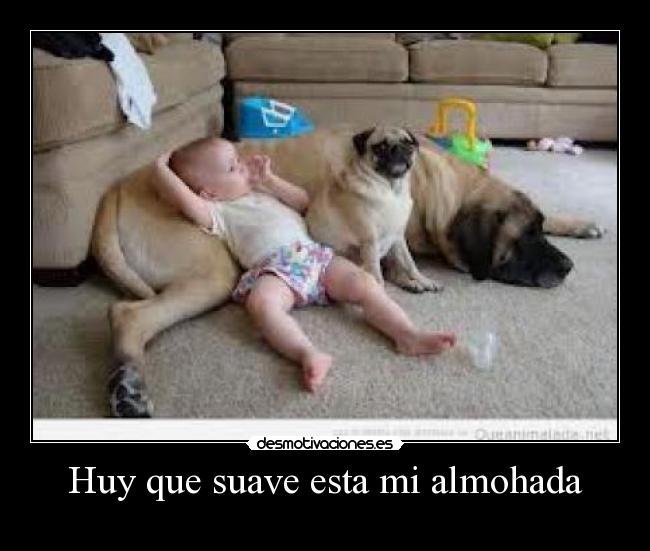 Huy que suave esta mi almohada -