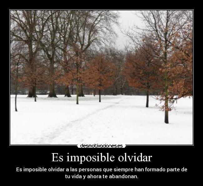 carteles imposible olvidar desmotivaciones