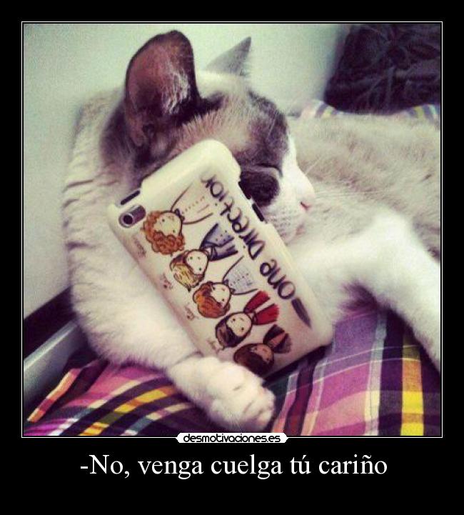 -No, venga cuelga tú cariño - 