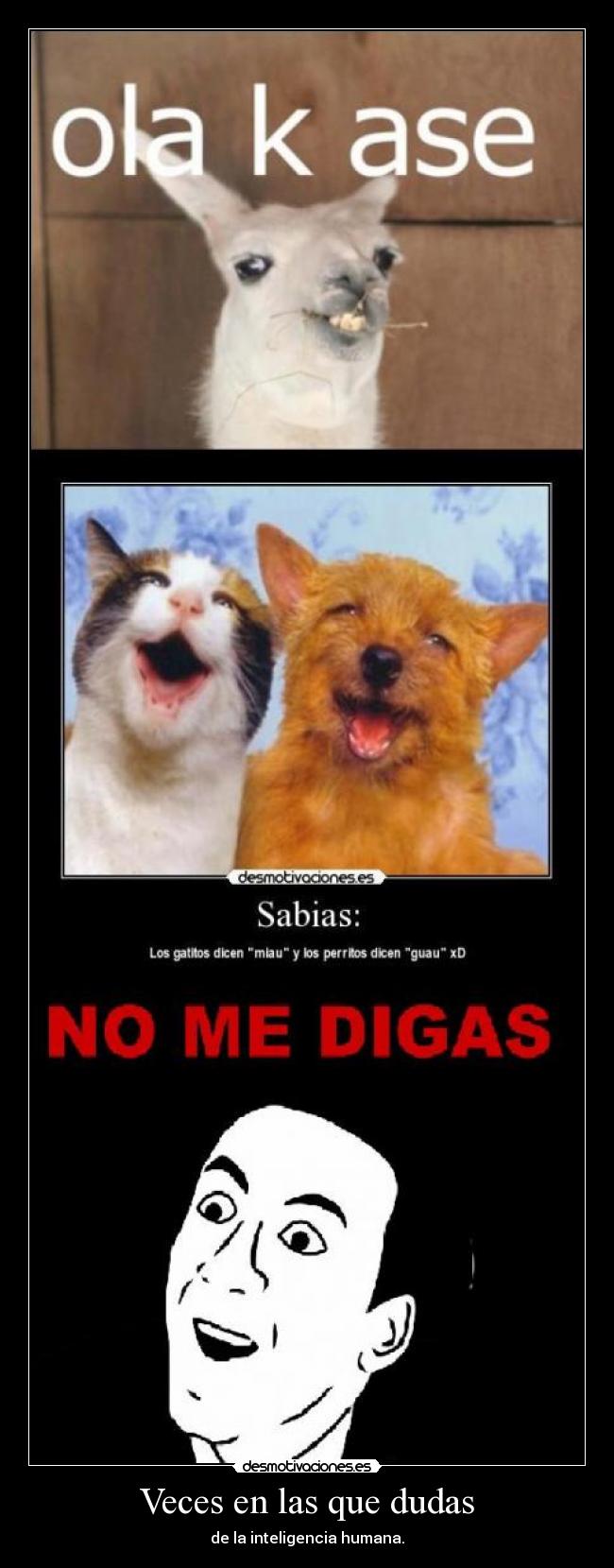 Veces en las que dudas - 