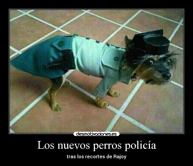 Los nuevos perros policía - 