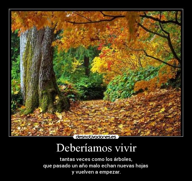 Deberíamos vivir - tantas veces como los árboles,
que pasado un año malo echan nuevas hojas
y vuelven a empezar.
