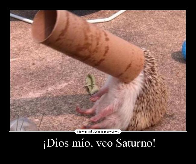 ¡Dios mío, veo Saturno! - 