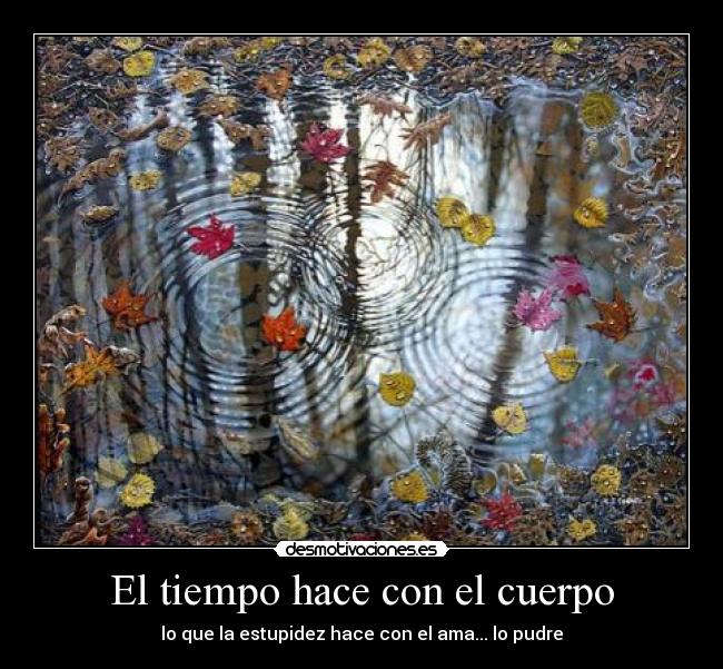 El tiempo hace con el cuerpo - lo que la estupidez hace con el ama... lo pudre