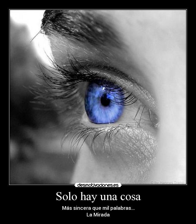 carteles ojos azules llorar sinceridad desmotivaciones