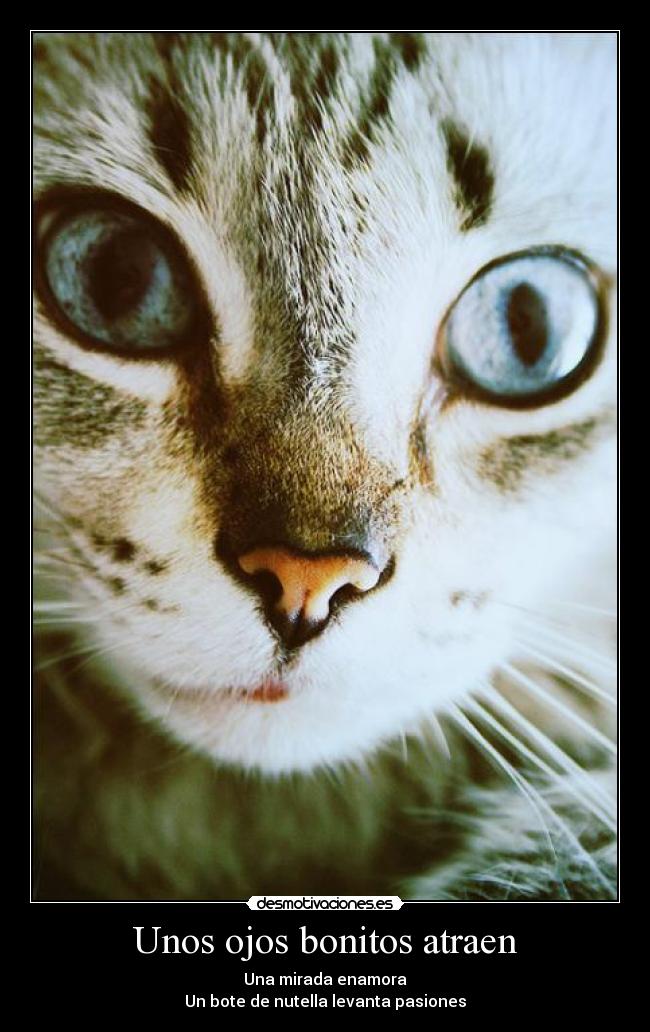 Unos ojos bonitos atraen - Una mirada enamora
Un bote de nutella levanta pasiones