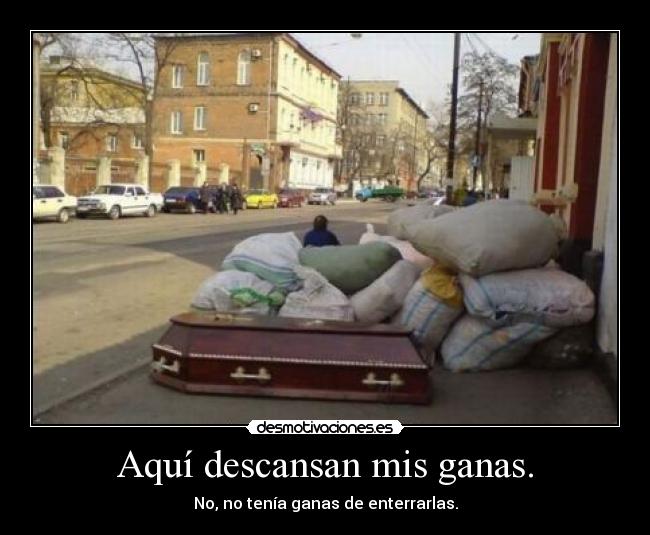 carteles menuda chorrada pero reconocer que gusta por estupido que onepiecebiersack desmotivaciones