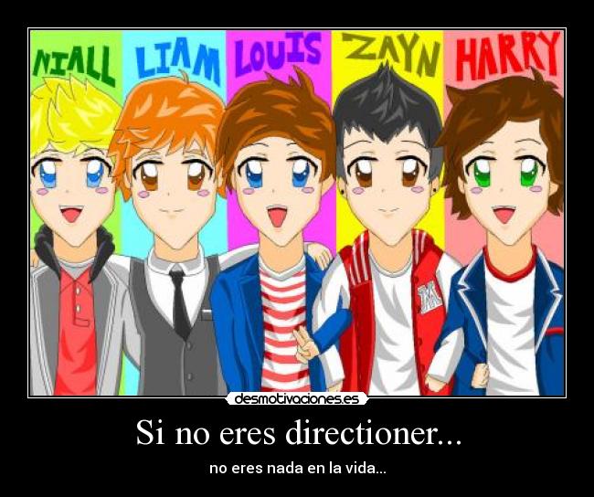 Si no eres directioner... - 