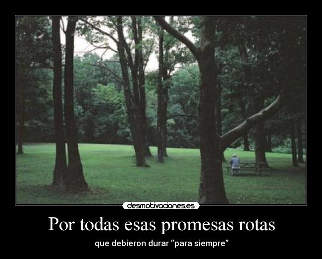 Por todas esas promesas rotas - que debieron durar para siempre