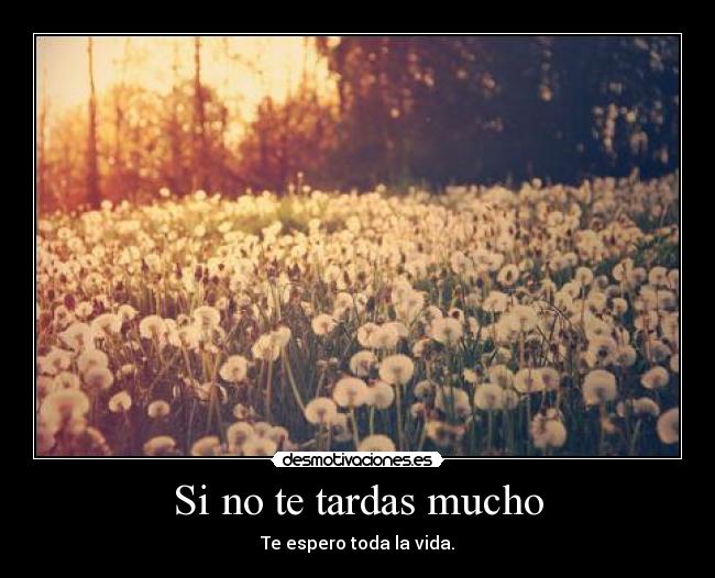 Si no te tardas mucho - Te espero toda la vida.