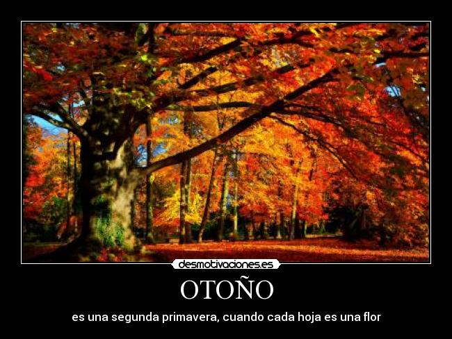 OTOÑO - es una segunda primavera, cuando cada hoja es una flor