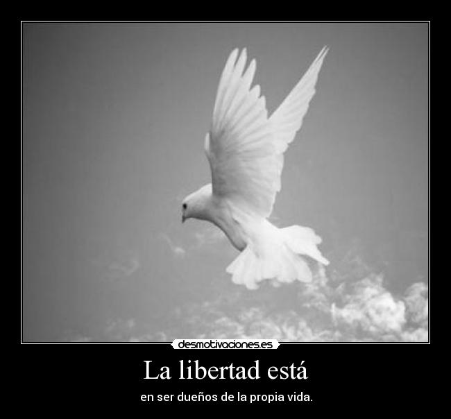 La libertad está - 