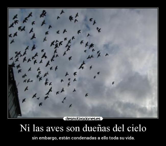 carteles 240412 desmotivaciones