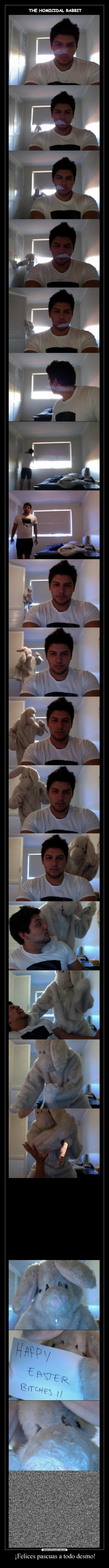 ¡Felices pascuas a todo desmo! -