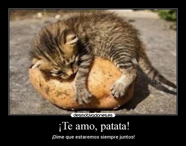 ¡Te amo, patata! - 