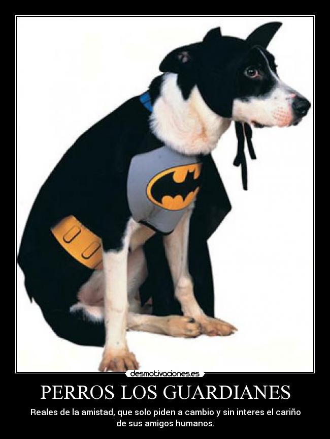 PERROS LOS GUARDIANES - Reales de la amistad, que solo piden a cambio y sin interes el cariño
de sus amigos humanos.