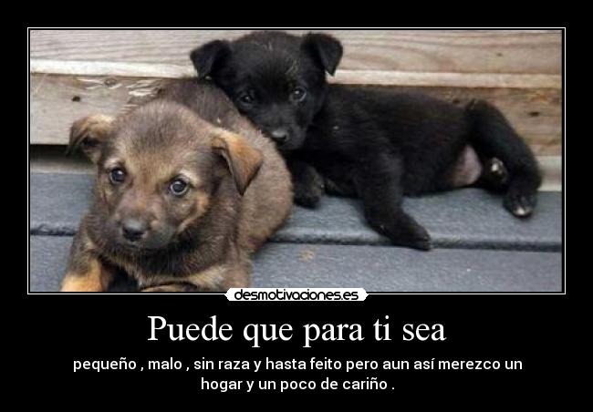 carteles puede que para senoras desmotivaciones