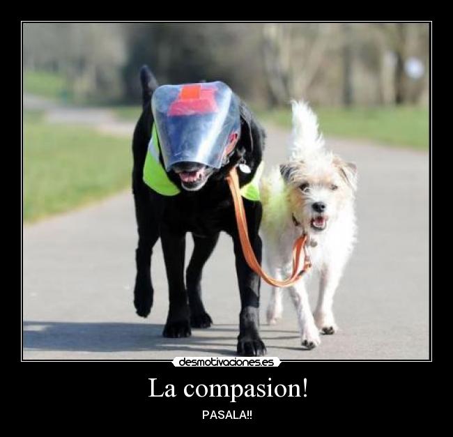 La compasion! - PASALA!!