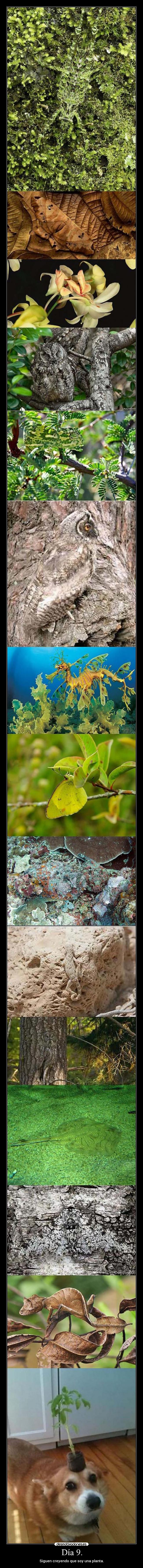 carteles 9gag desmotivaciones