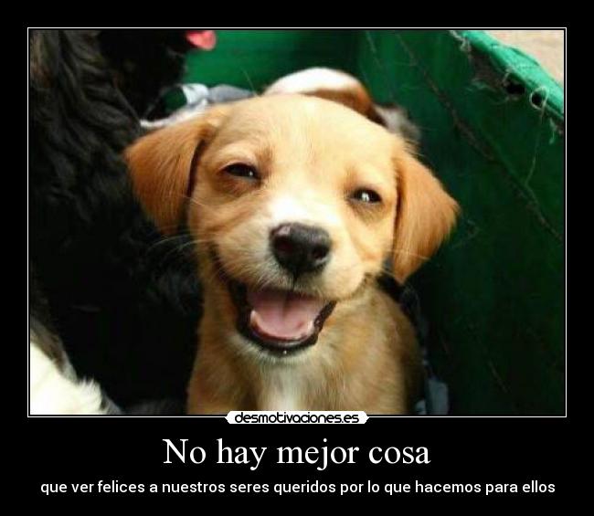 No hay mejor cosa - que ver felices a nuestros seres queridos por lo que hacemos para ellos