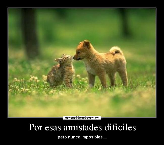 Por esas amistades dificiles - pero nunca imposibles....