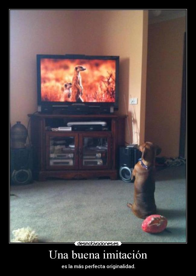 Una buena imitación -