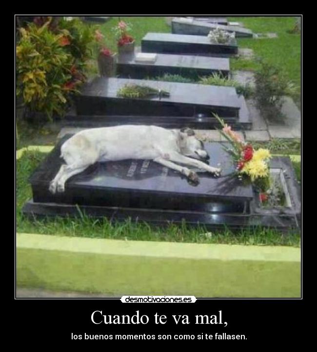 Cuando te va mal, - los buenos momentos son como si te fallasen.