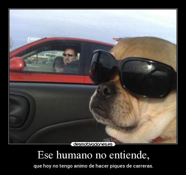 Ese humano no entiende, - que hoy no tengo animo de hacer piques de carreras.