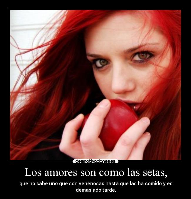 Los amores son como las setas, - que no sabe uno que son venenosas hasta que las ha comido y es demasiado tarde.