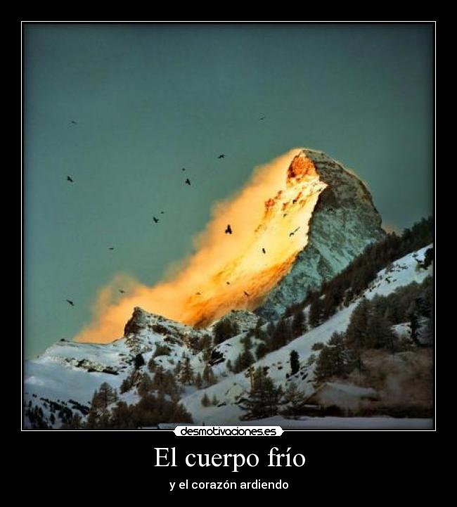 El cuerpo frío - 