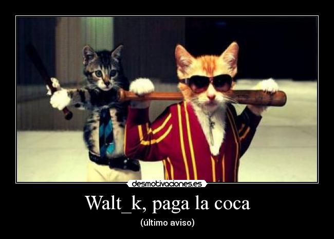 Walt_k, paga la coca -
