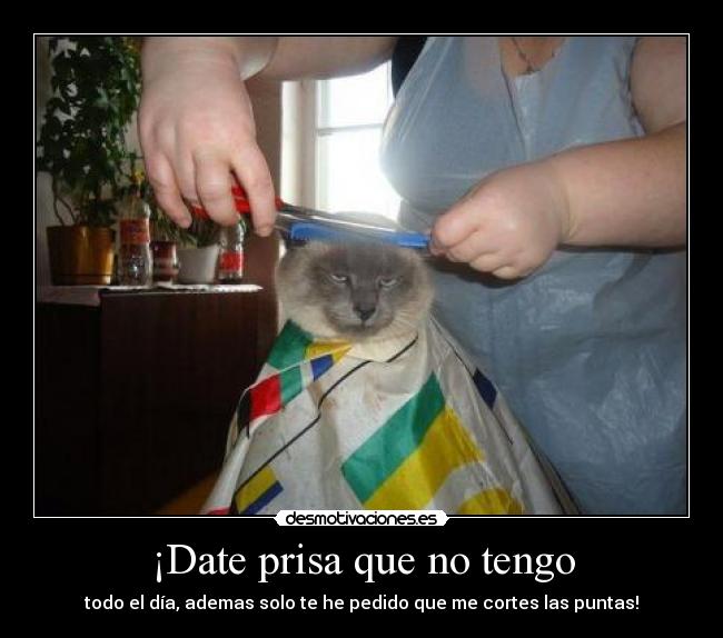 carteles date desmotivaciones