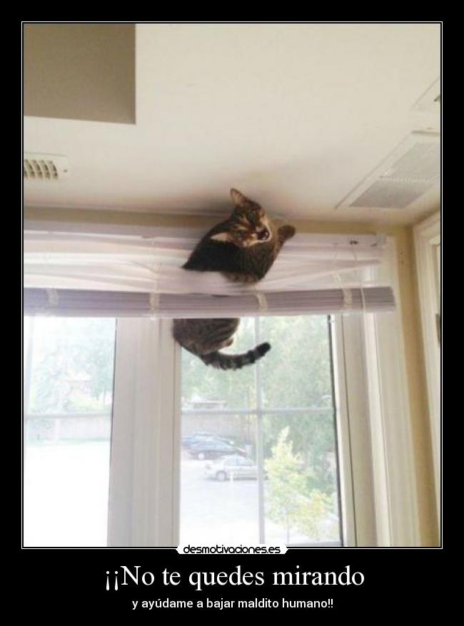 ¡¡No te quedes mirando - 