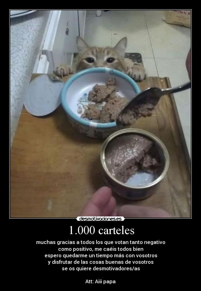 1.000 carteles -