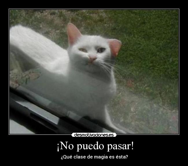 ¡No puedo pasar! - 