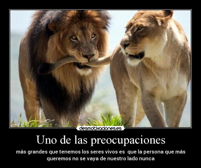 Uno de las preocupaciones - más grandes que tenemos los seres vivos es que la persona que más
queremos no se vaya de nuestro lado nunca