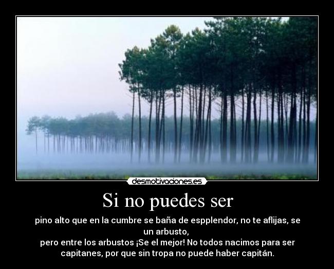 Si no puedes ser - pino alto que en la cumbre se baña de espplendor, no te aflijas, se
un arbusto,
pero entre los arbustos ¡Se el mejor! No todos nacimos para ser
capitanes, por que sin tropa no puede haber capitán.