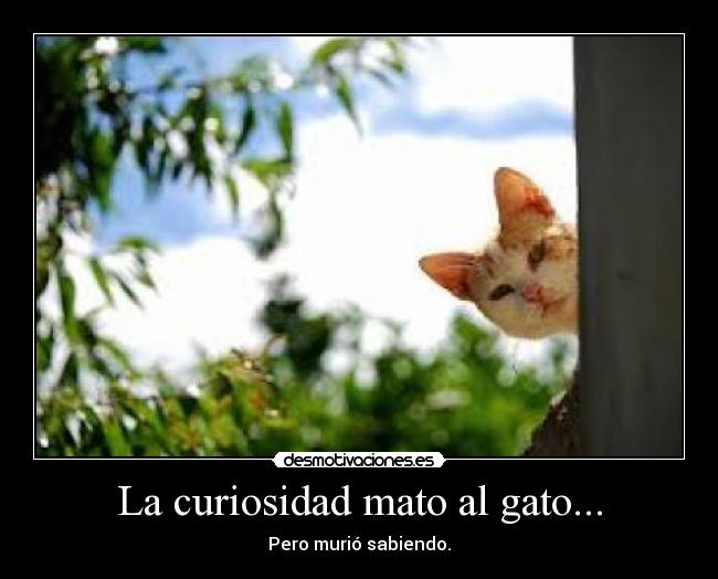 La curiosidad mato al gato... -