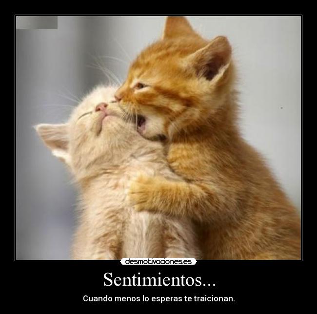 Sentimientos... - Cuando menos lo esperas te traicionan.