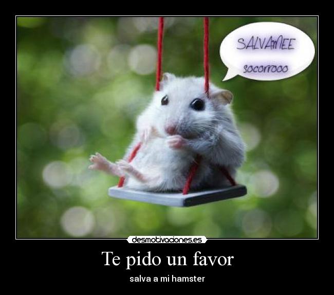Te pido un favor -