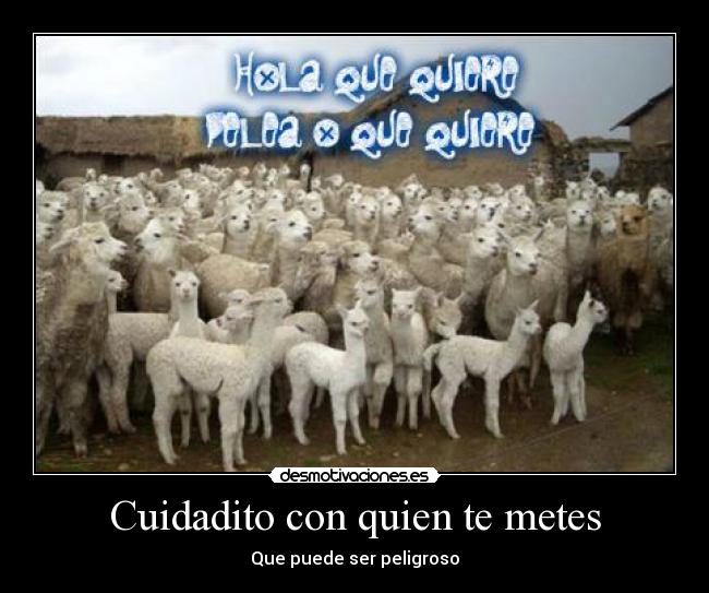 Cuidadito con quien te metes - 
