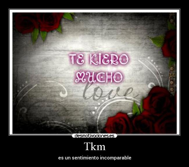 Tkm - es un sentimiento incomparable