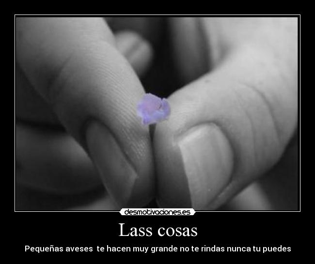 Lass cosas -