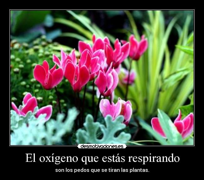 El oxígeno que estás respirando -