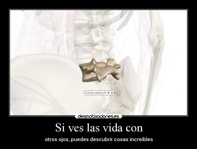 carteles vida lml burutsu anatomia lumbar vertebra desmotivaciones