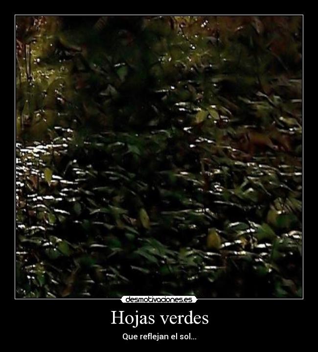 carteles primer supercartel desmotivaciones