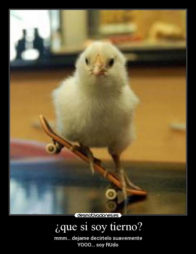 carteles ternurita desmotivaciones