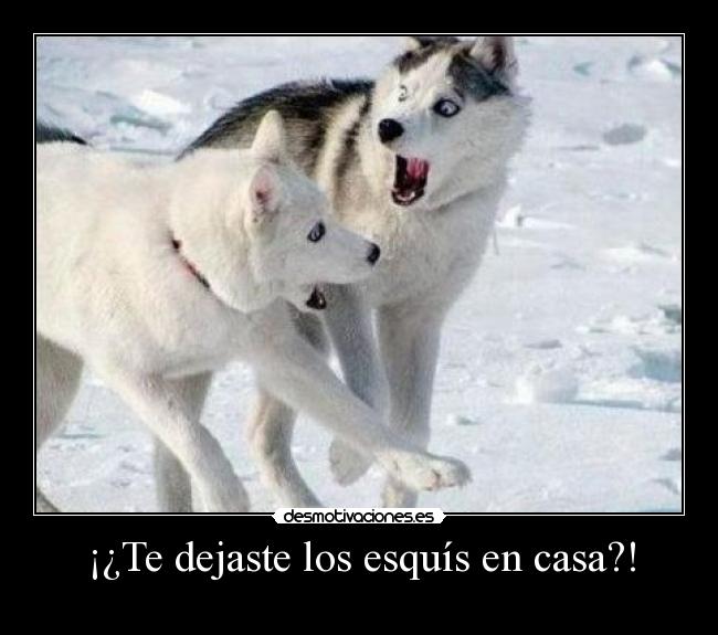 carteles casa vayapifia desmotivaciones